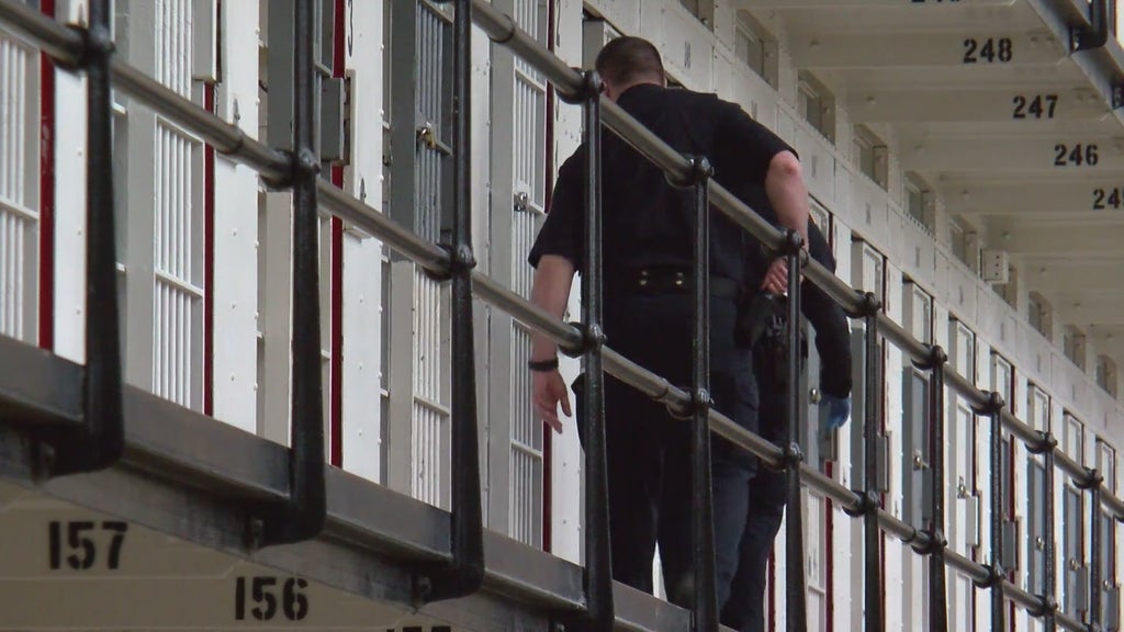 More than two dozen Georgia prisons on lockdown over security concerns following inmate fight — Acworth Health news